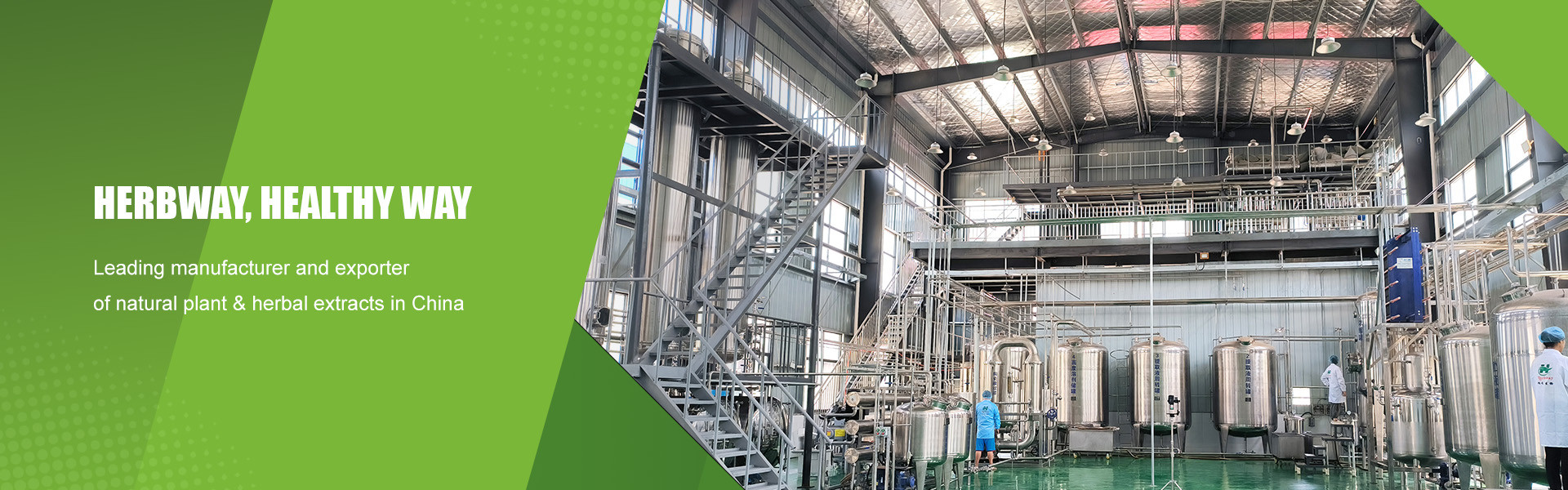 品質 植物エキスパウダー 工場